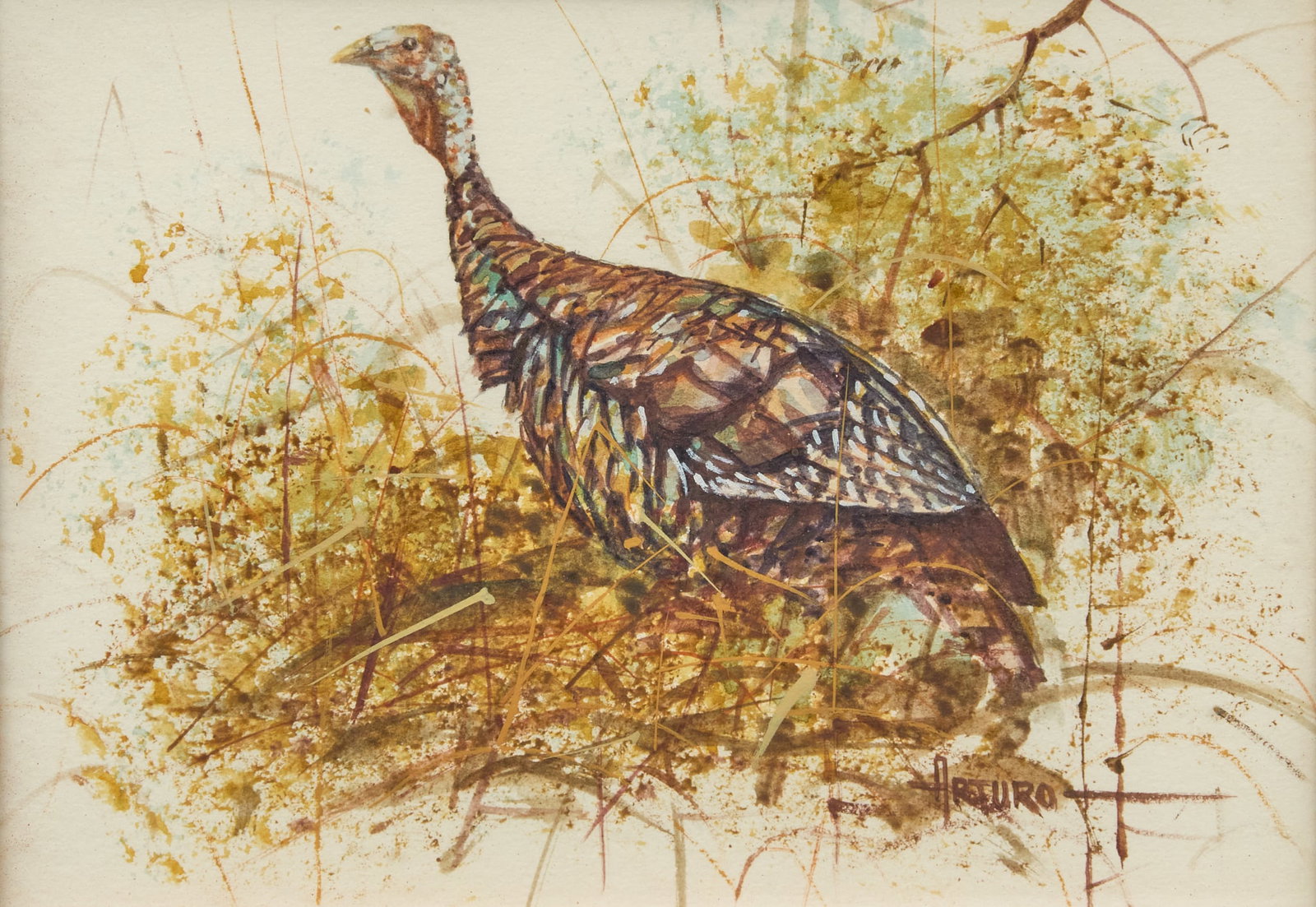 Arturo Mercado, Turkey in Clearing: Arturo Mercado (Texas, 1938-2015), turkey in underbrush, watercolor on watercolor paper, signed lower right sight: 5 x 7 in., frame: 10.5 x 12.5 in. Provenance: Property from a Rockport,