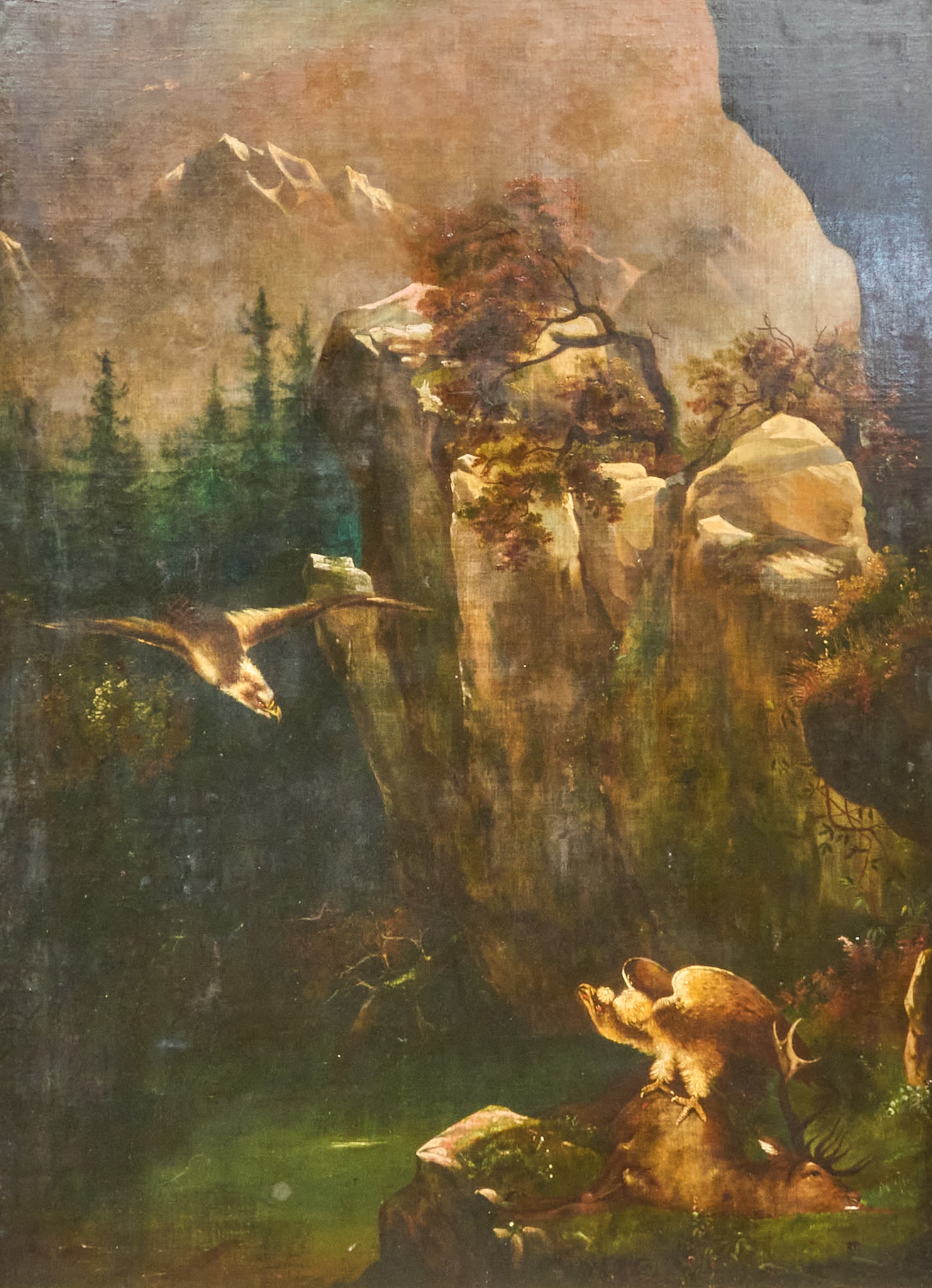 19th C. Eagle and Vulture Painting: Antique Austrian style oil painting depicting a bald eagle swooping down towards a vulture perched atop a stag carcass, in mountainous setting, oil on canvas, appears not signed sight: 55 x 40 in.,