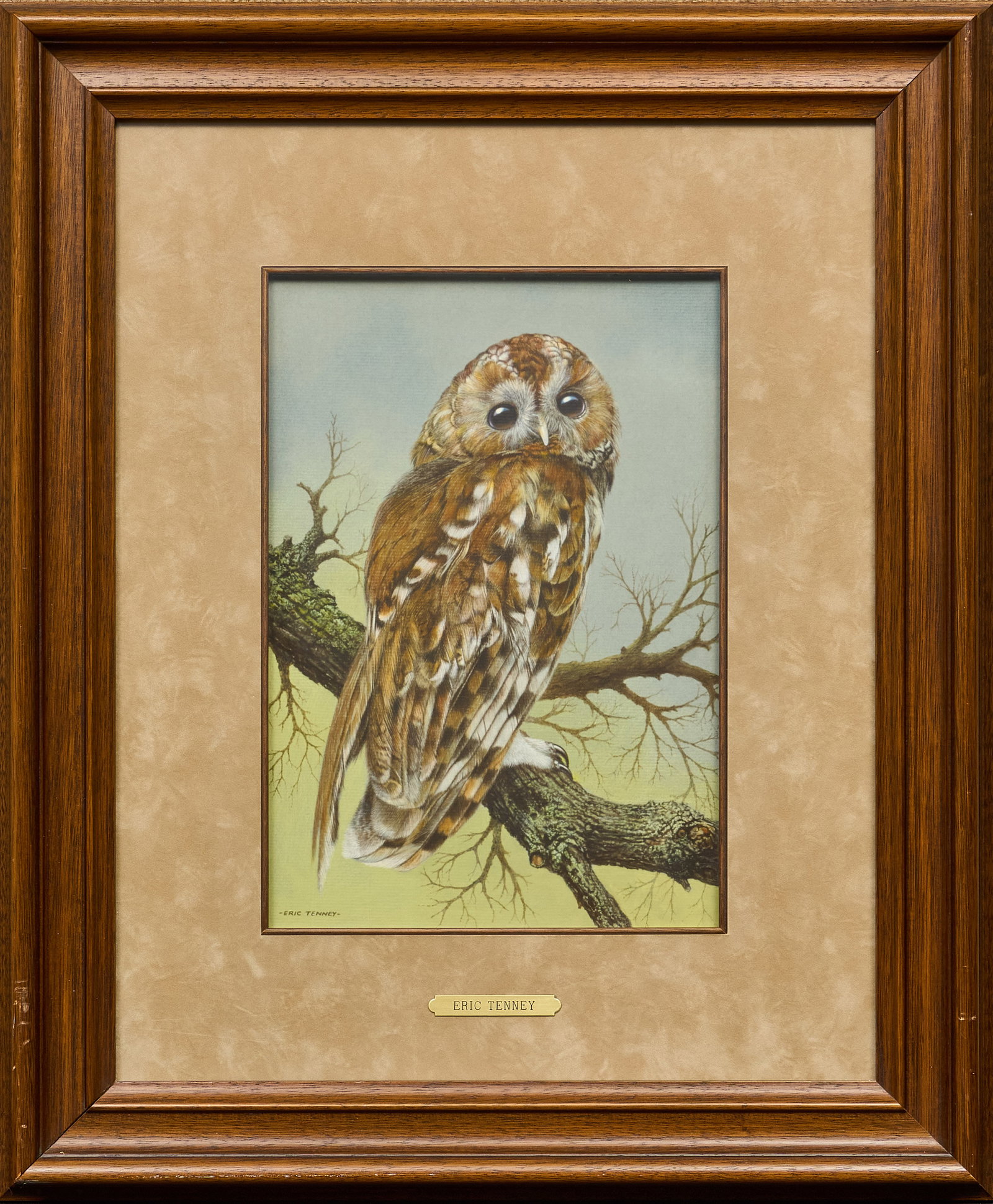 Eric Tenney, Owl - 2