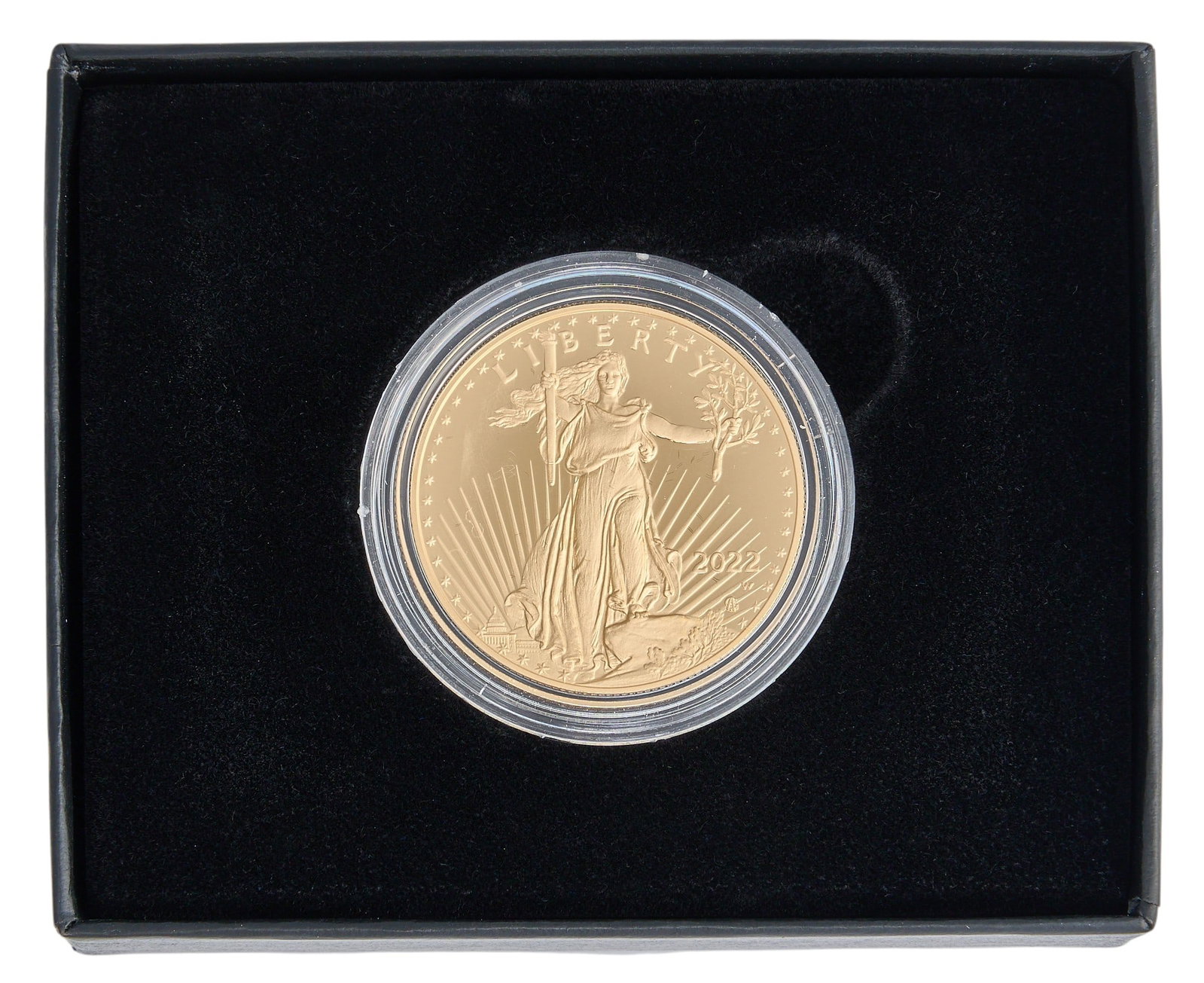 2022 $50 American Eagle Gold Proof Coin (1 of 5)