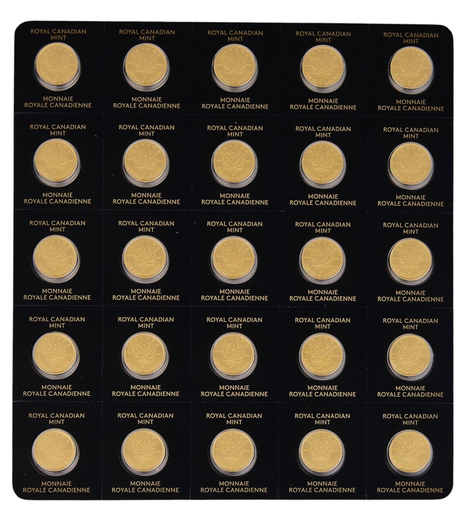 (25) 2024 Canadian Maple 1g Coins: (25) 2024 Canadian Maple 1g Coins