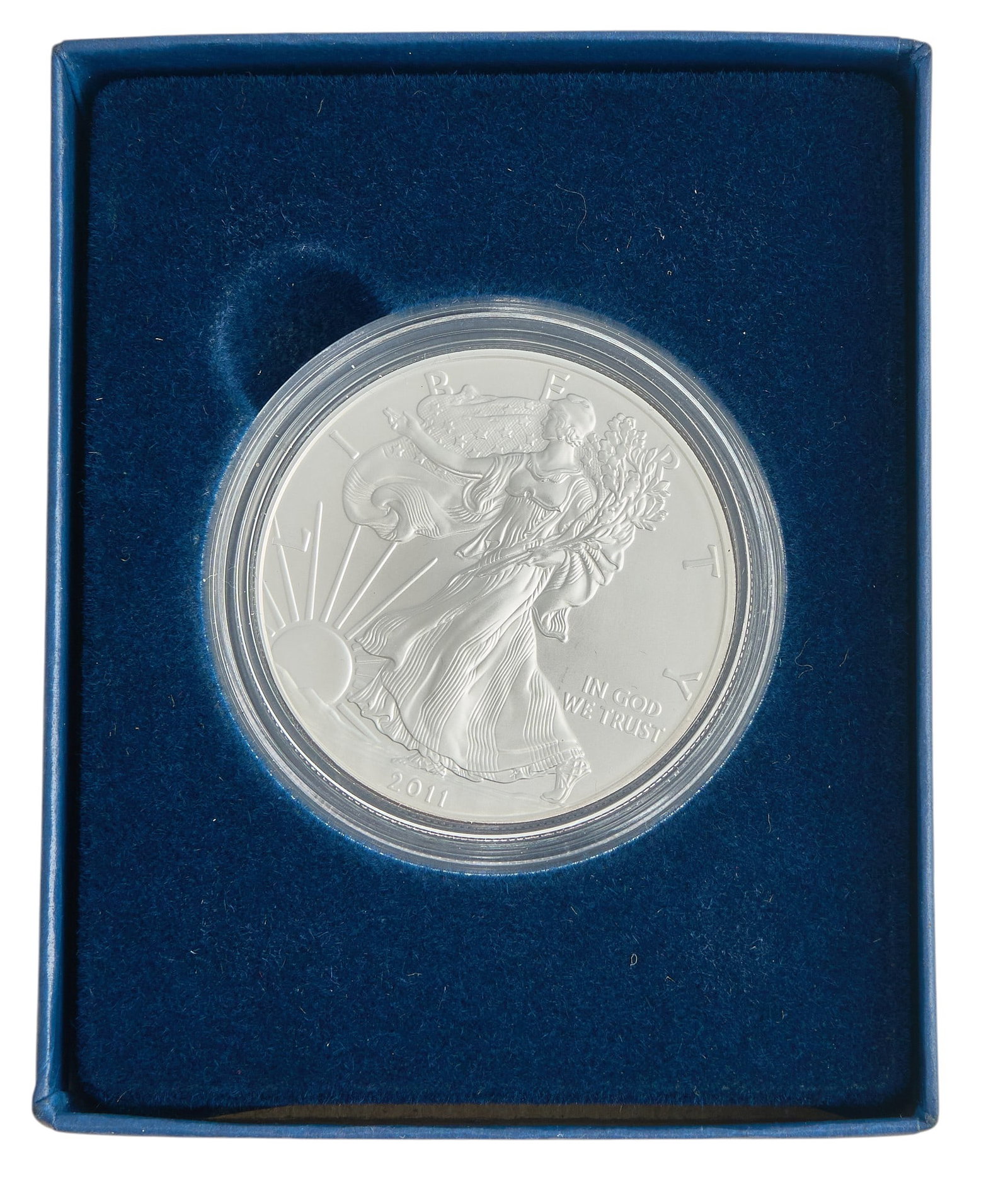 2013 Uncirculated Silver Eagle (1 of 2)