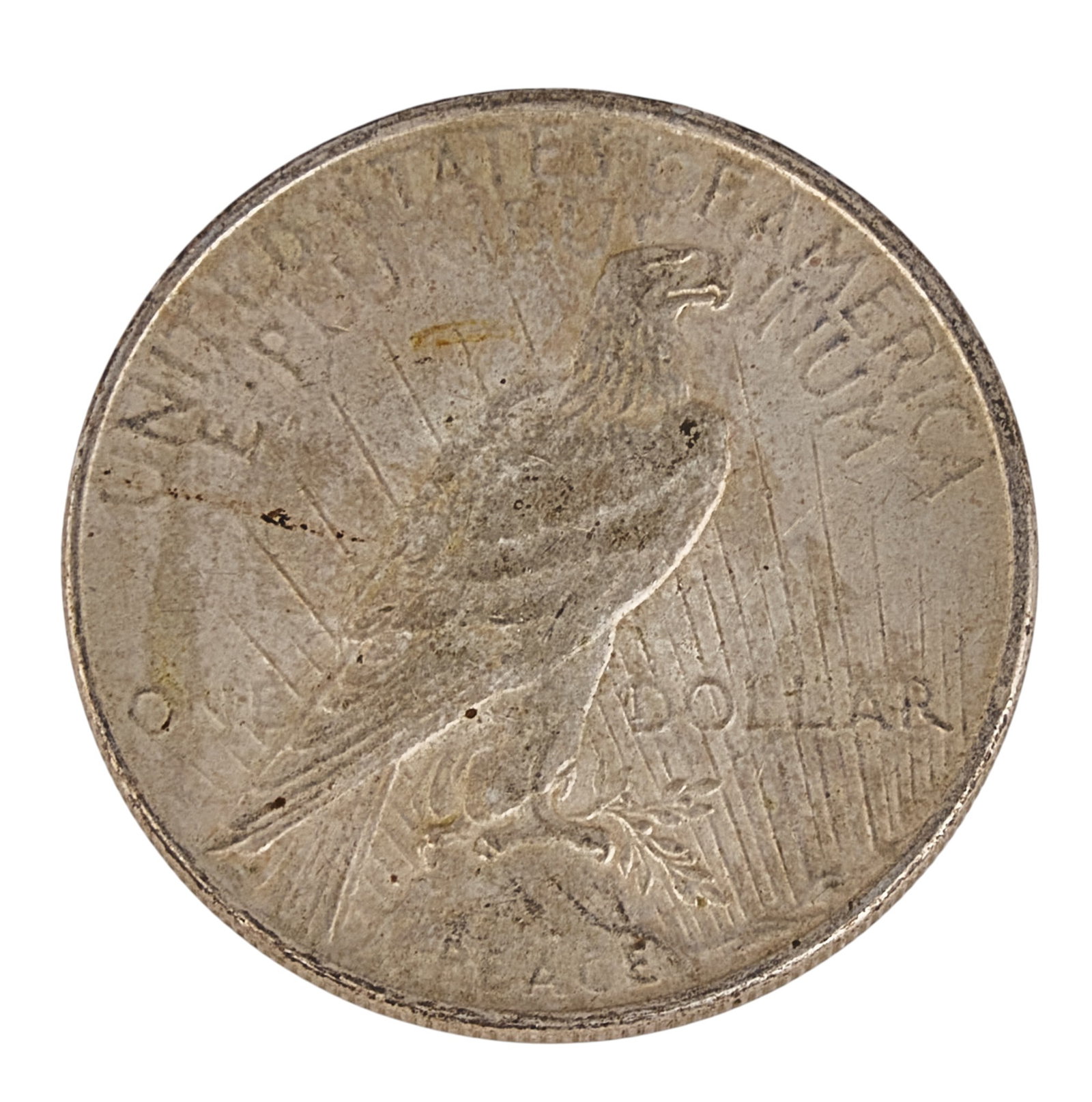 (10) Morgan Silver Dollars - 3