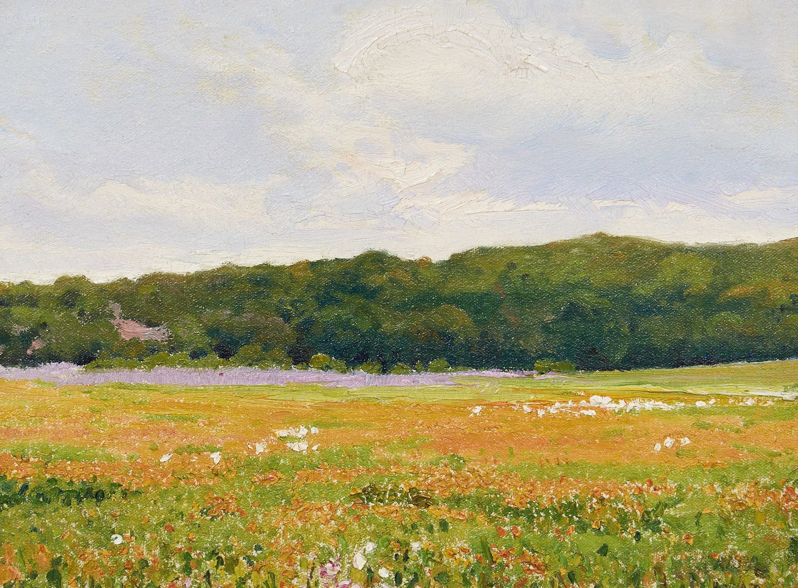 Attrib. Jose Arpa, Texas Wildflowers (1 of 5)