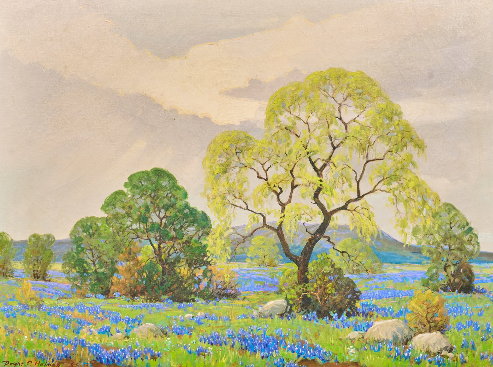 Dwight Clay Holmes, Bluebonnet Landscape (1 of 4)