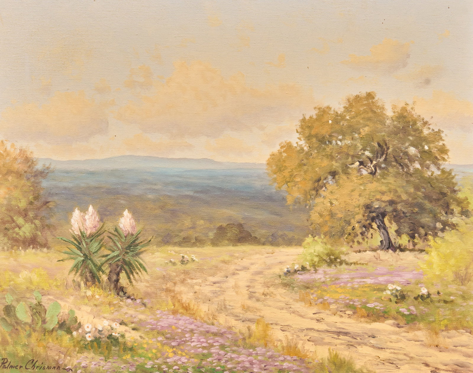 Palmer Chrisman, Texas Landscape: Palmer Chrisman (Texas, 1913-1984), Hill Country road with heather and yucca, oil on canvas, signed lower left sight: 16 x 20 in., frame: 24.5 x 29.5 in. Provenance: Property from a home in 