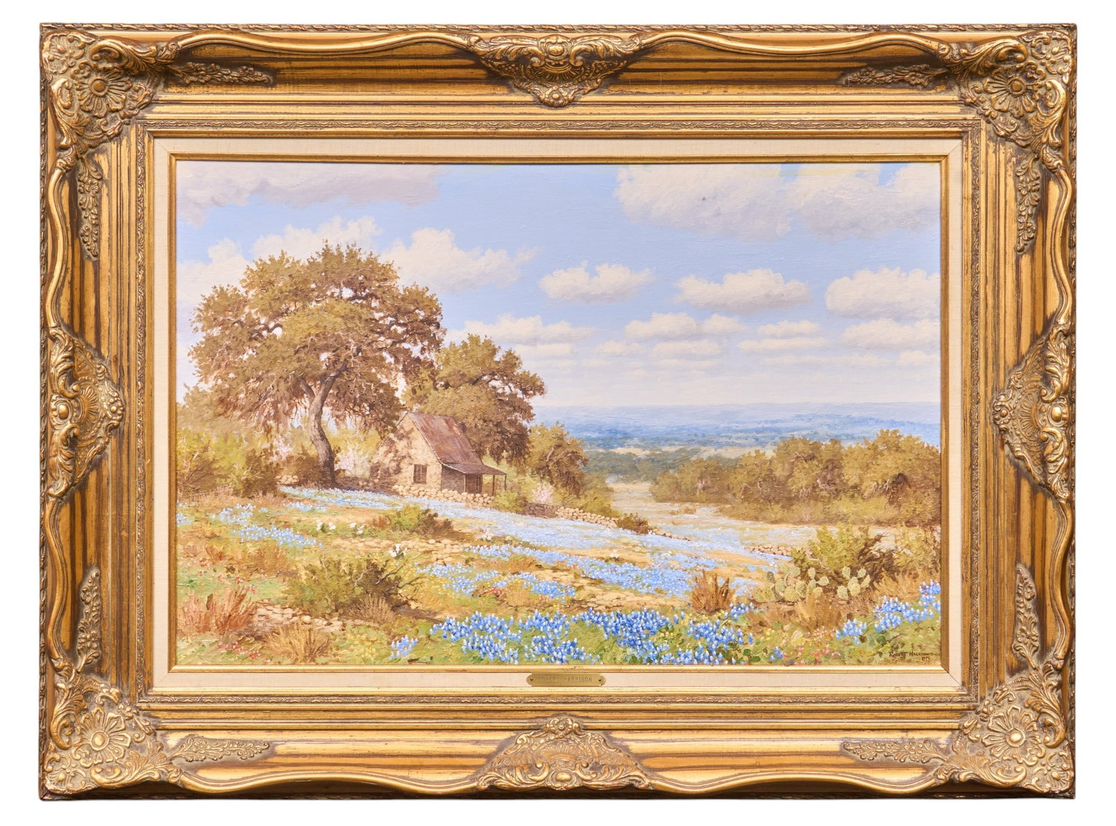 Robert Harrison, Bluebonnet Landscape - 2
