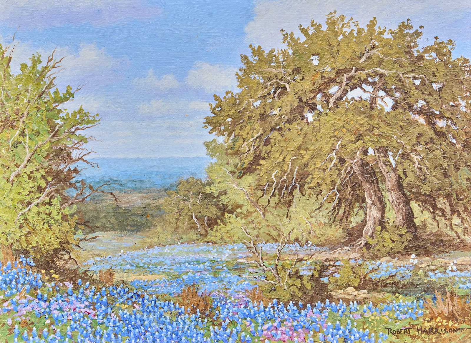 Robert Harrison, Bluebonnets (1 of 4)
