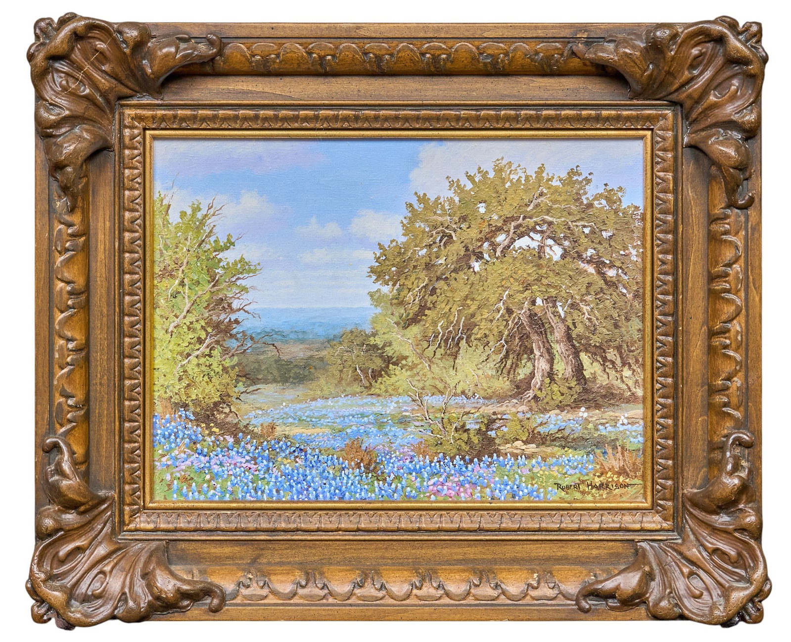Robert Harrison, Bluebonnets - 2