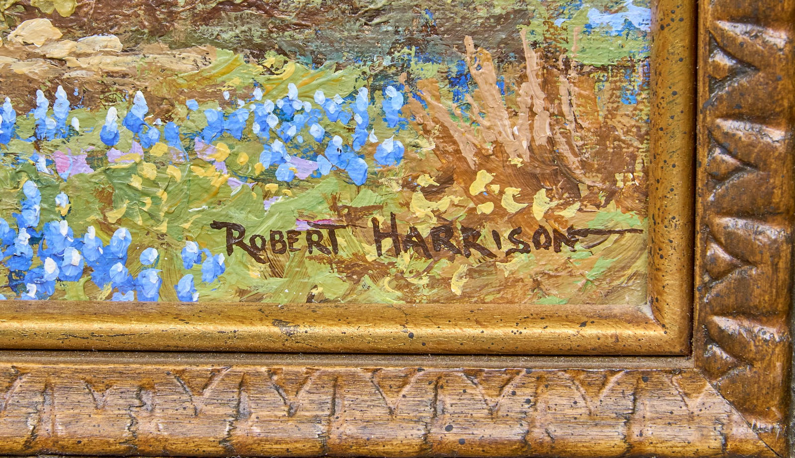 Robert Harrison, Bluebonnets - 3