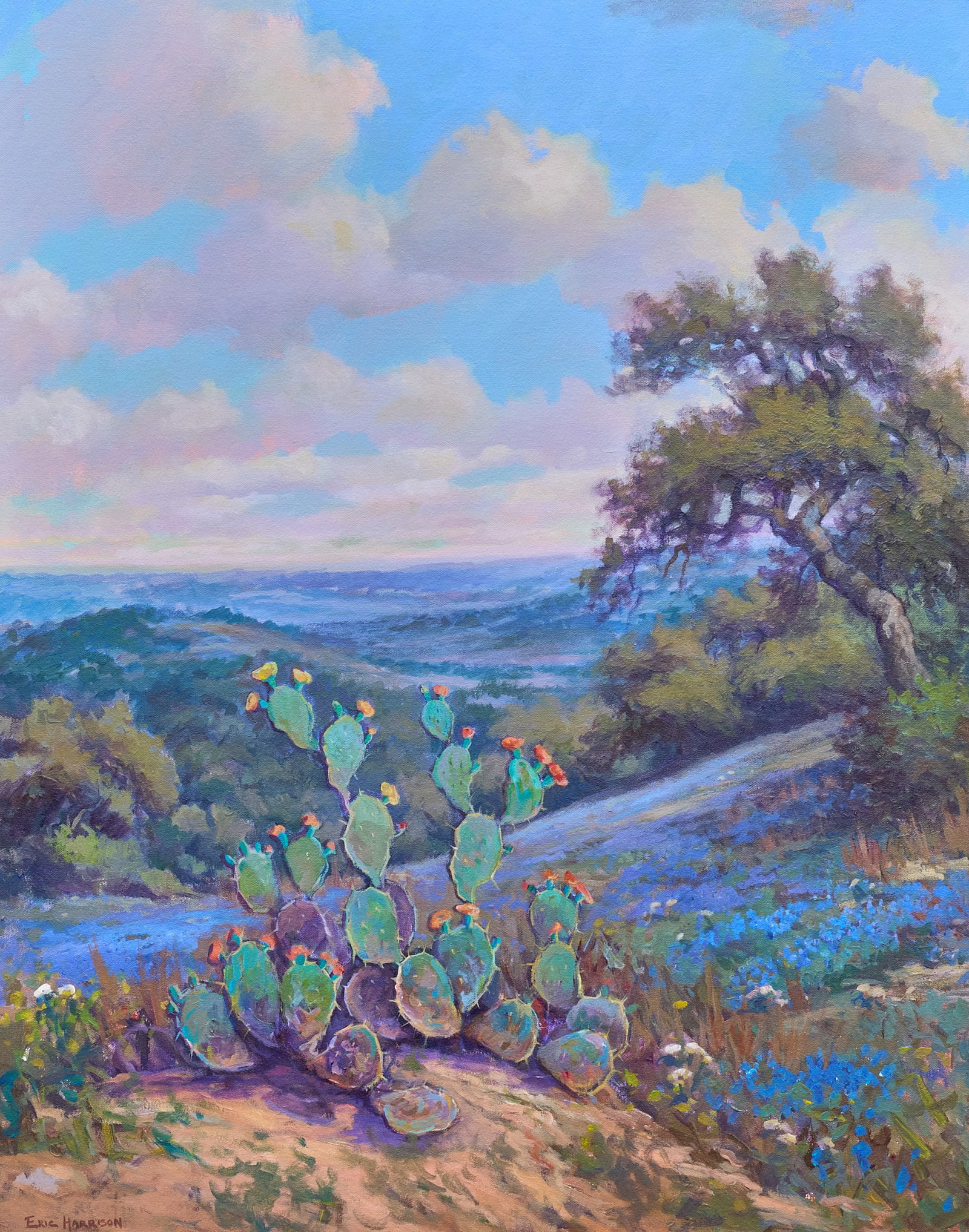 Eric Harrison, Hilltop Cactus and Bluebonnets (1 of 4)