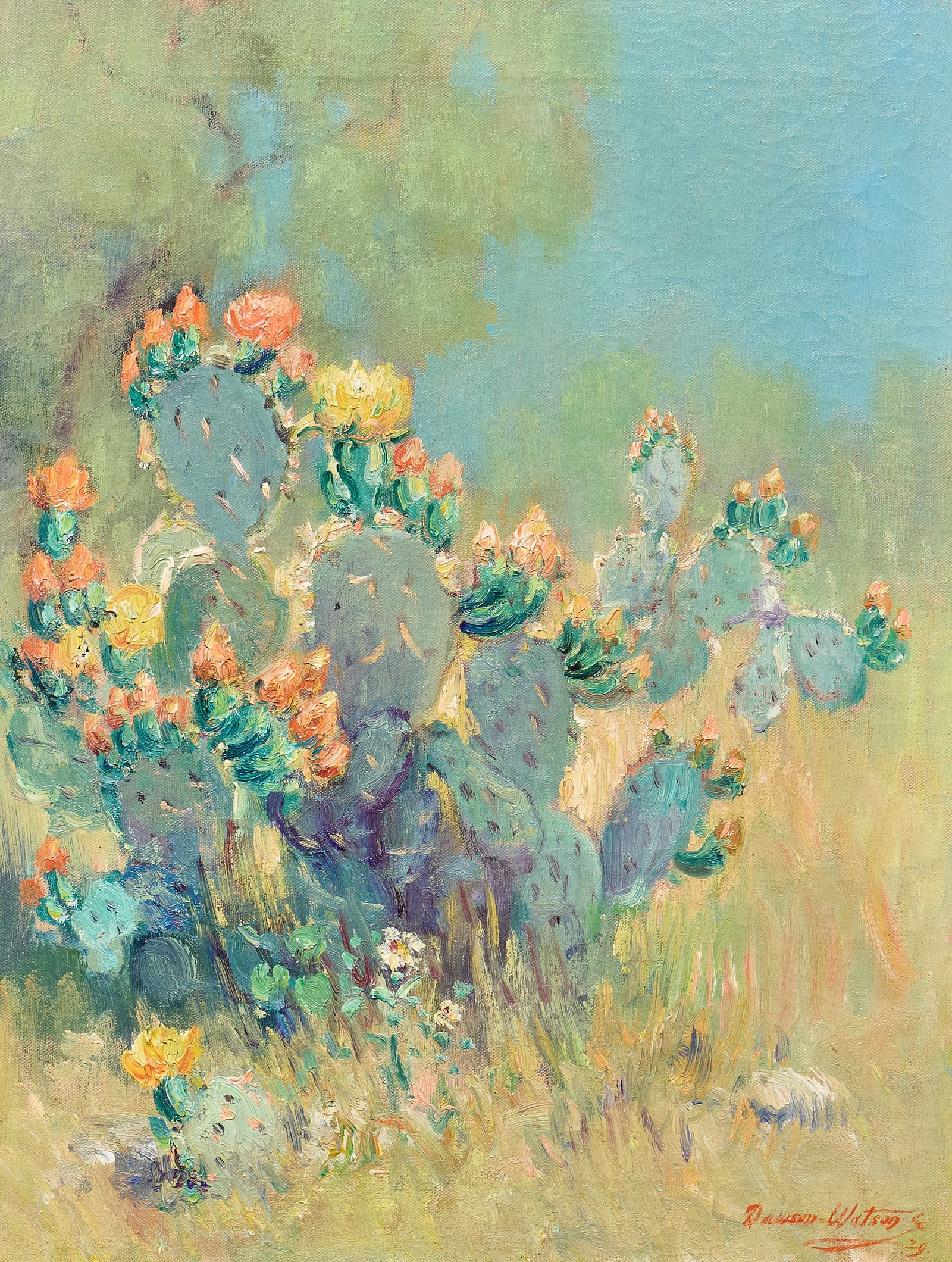 Dawson Dawson-Watson, Cactus Blossoms, 1929 (1 of 5)