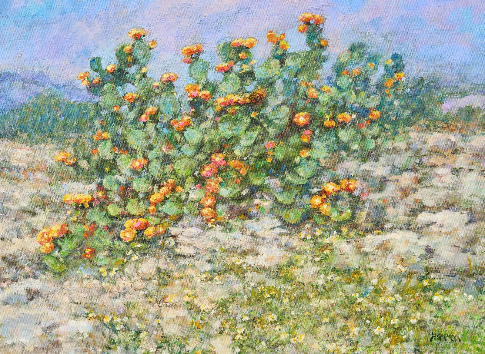 Robert Hamman, "Big Bend Cactus" (1 of 4)