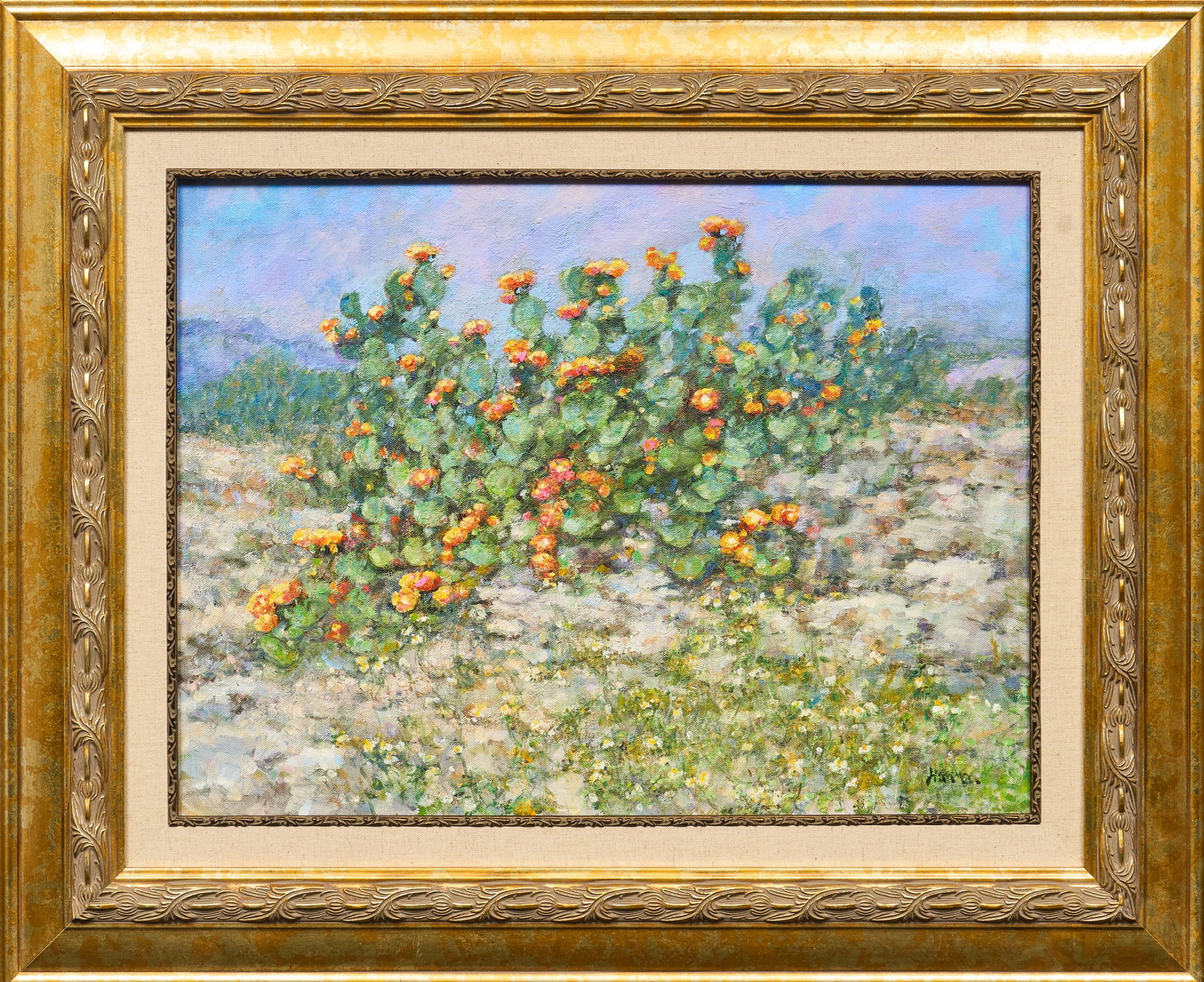 Robert Hamman, "Big Bend Cactus" - 2