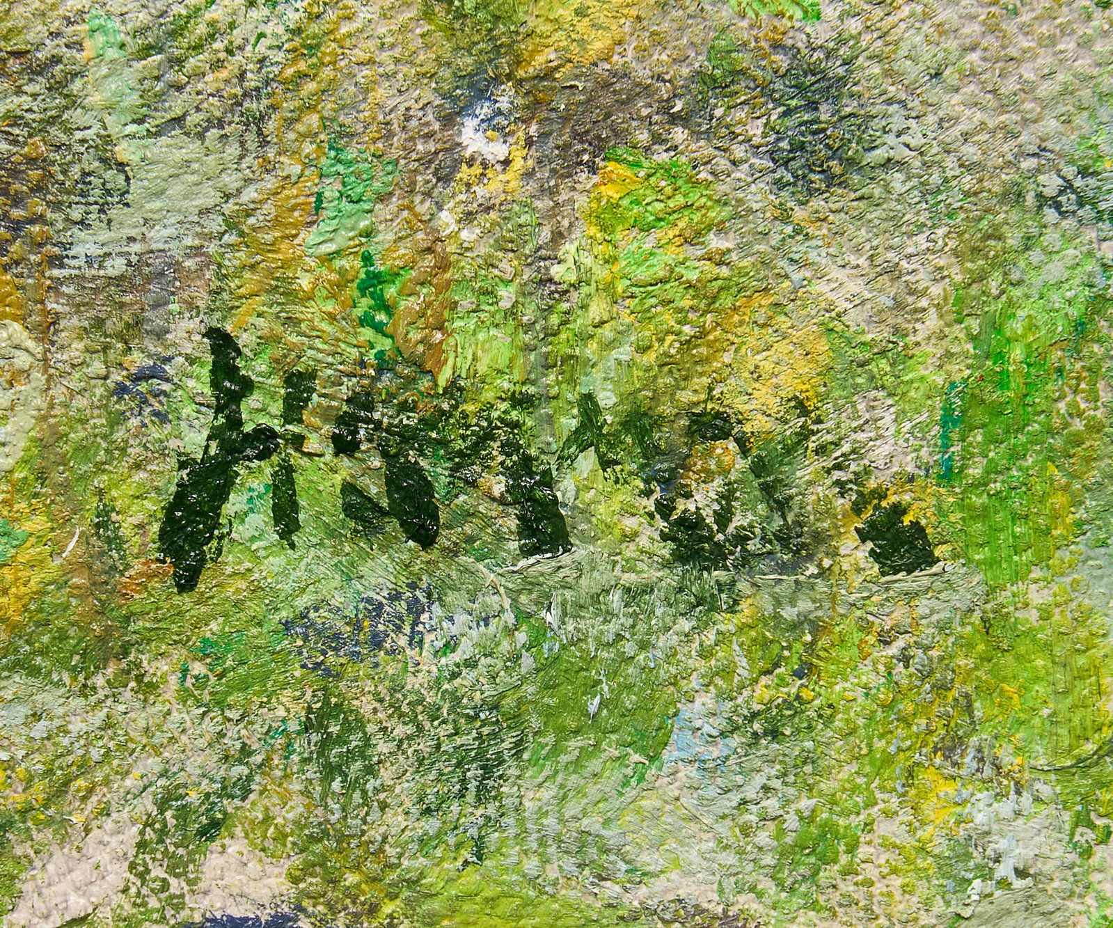 Robert Hamman, "Big Bend Cactus" - 3