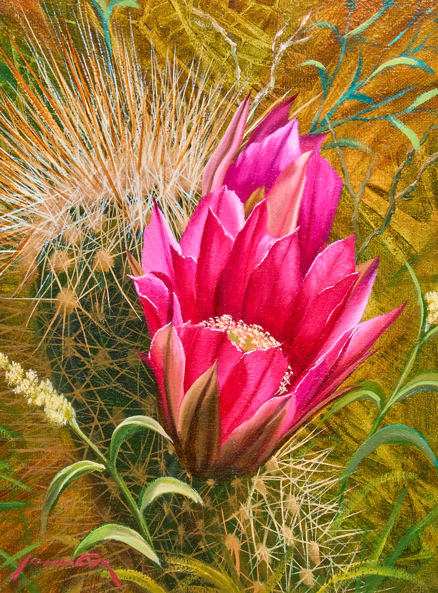 John Cox, Cactus Flower (1 of 4)
