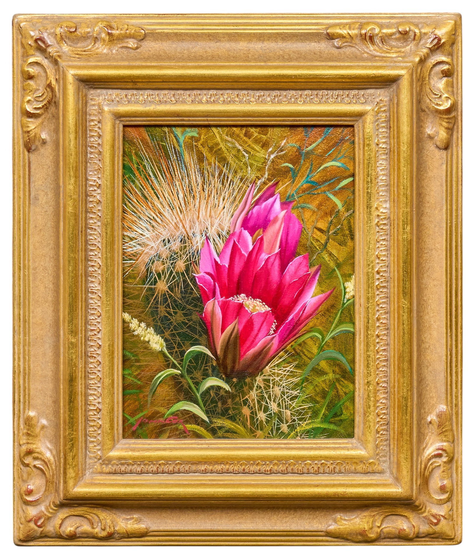 John Cox, Cactus Flower - 2