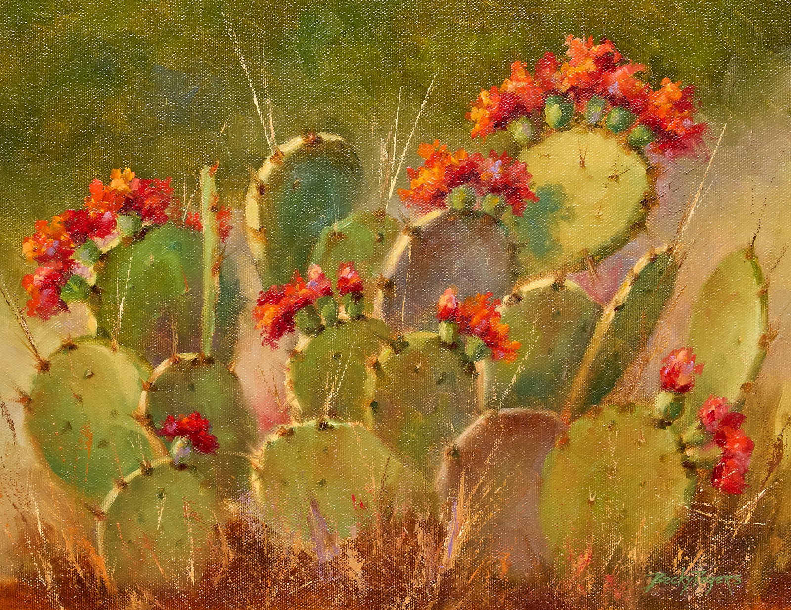 Becky Rogers, Flowering Cactus: Becky Rogers (Texas, b. 20th C.), flowering cactus, oil on canvas, signed lower right sight: 11 x 14 in., frame: 22 x 24.5 in. Provenance: Property from a historic home in the Olmos Park nei