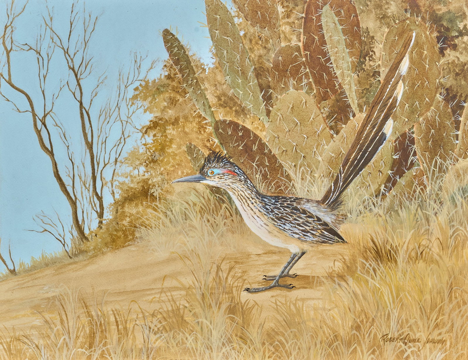 Robert Quill Johnson, Roadrunner and Cactus: Robert Quill Johnson (Texas, 1927-1980), roadrunner near cactus, acrylic on illustration panel, signed lower right sight: 21 x 26 in., frame: 31 x 36 in. Provenance: Property from a home in Corpus