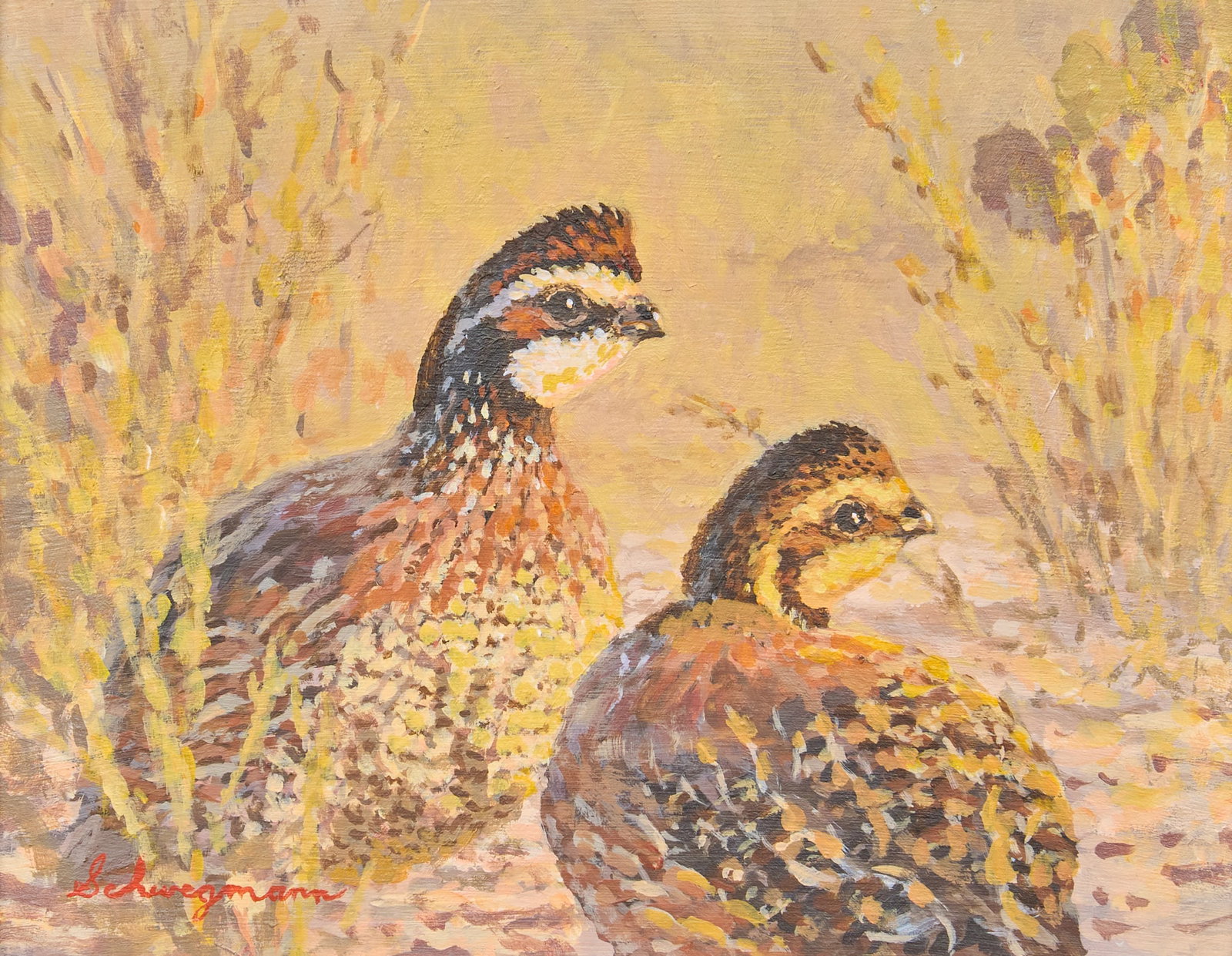 George Schwegmann, "Bobwhites": George Schwegmann (Texas, b. 1954), "Bobwhites", acrylic on hardboard, signed lower left sight: 8 x 10 in., frame: 16.5 x 18.5 in. Provenance: Property from the collection of the artist, San