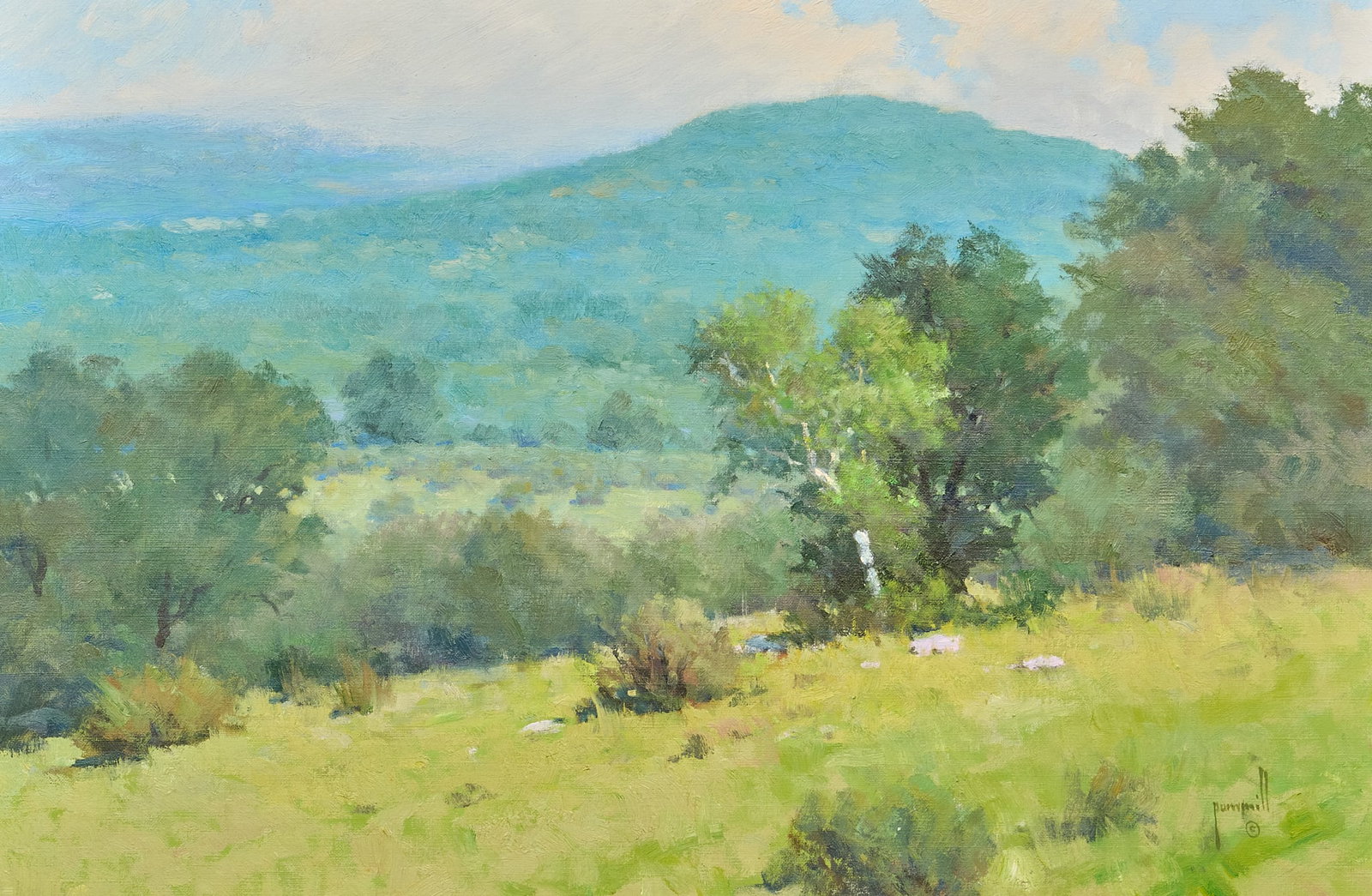 Robert Pummill, "Hill Country Vista": Robert Pummill (Texas, b. 1936), "Hill Country Vista", oil on canvas, signed lower right, 2011 sight: 16 x 24 in., frame: 21 x 31 in. Provenance: Property from a historic home in t