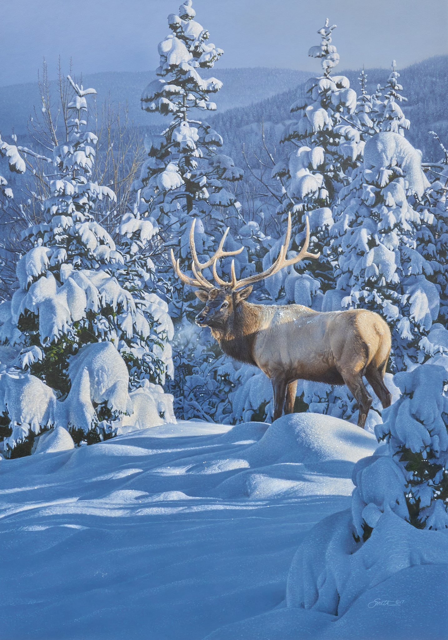 Daniel Smith, "Winter Sundance" (1 of 5)