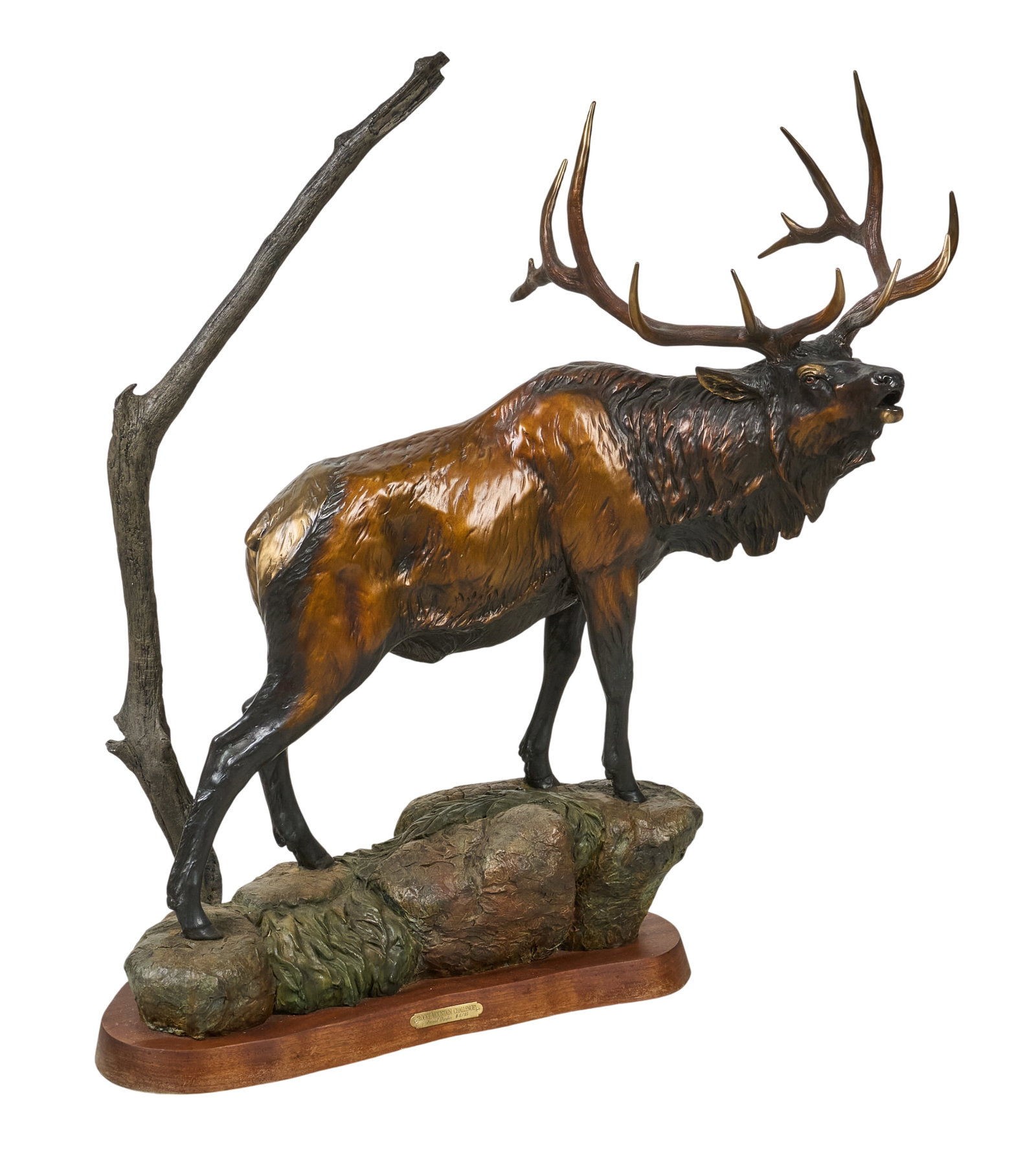 Daniel Parker, "Rocky Mountain Challenge": Daniel Ray Parker (Amer., b. 1959), "Rocky Mountain Challenge", artist-cast bronze sculpture atop wooden base, with incised signature and edition number 4/40 height 41 in. x width 40 in. x d