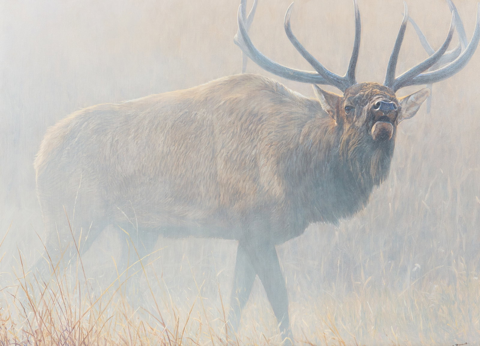 John Banovich, Bull Elk (1 of 4)