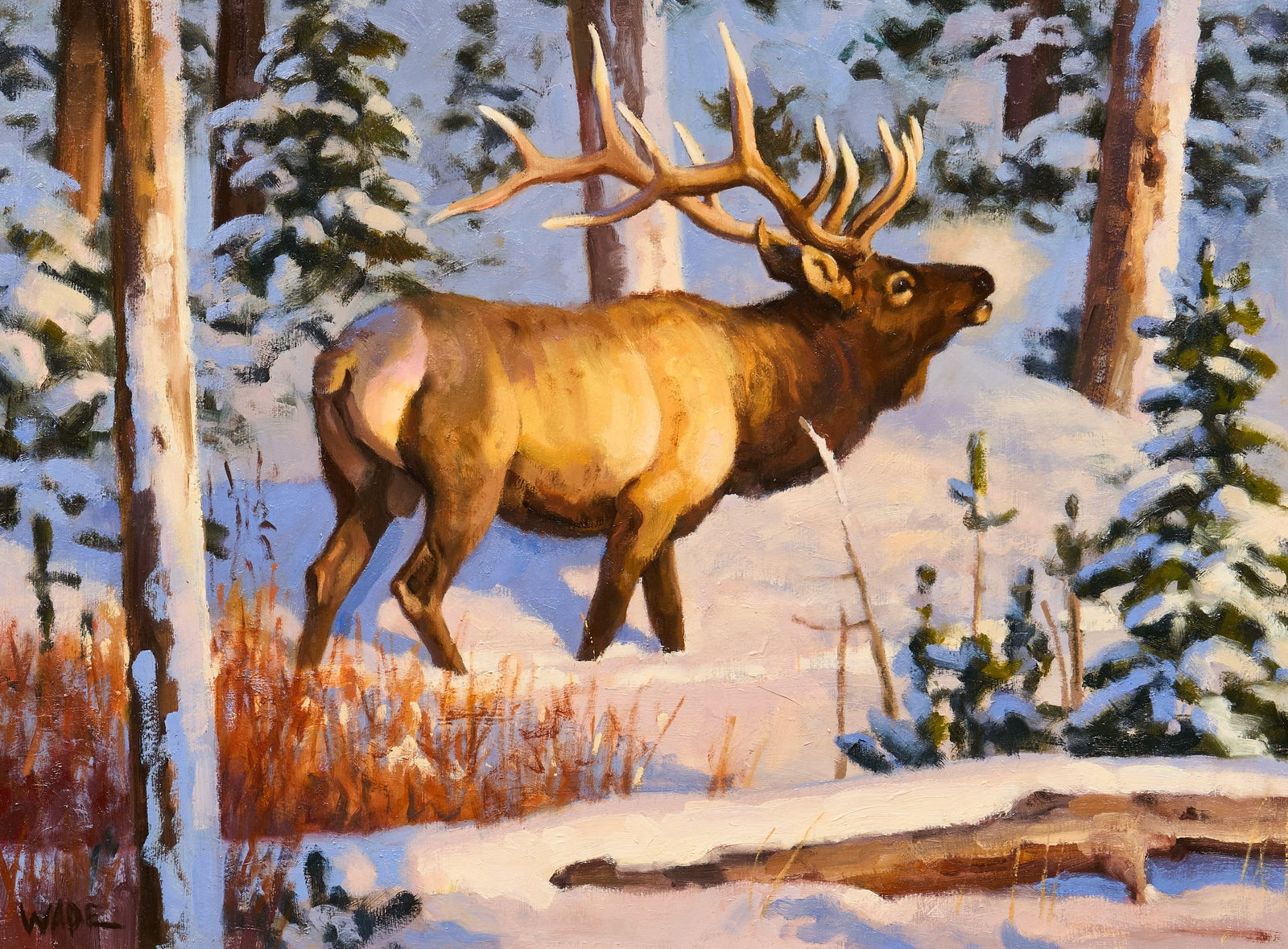 David Wade, "The Seeker": David Charles Wade (Amer., 1952-2019), "The Seeker", oil on panel, signed lower left, with Prix de West Invitational auction label affixed to the verso sight: 18 x 24 in., frame: 2