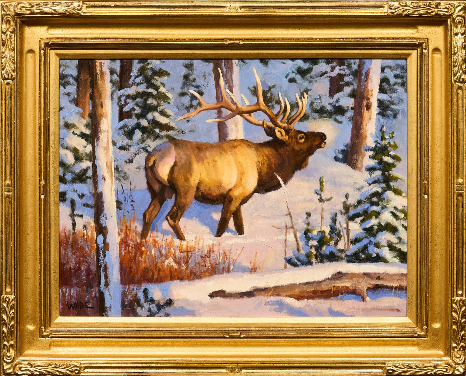 David Wade, "The Seeker" - 2