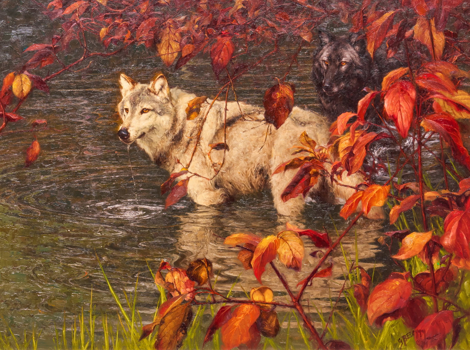 Greg Beecham, "Sisters": Greg Beecham, (Amer., b. 1954), "Sisters", two wolves wading in water, oil on linen, signed and dated lower right, 2014, signed again on the verso sight: 30 x 40 in., frame: 39 x 4