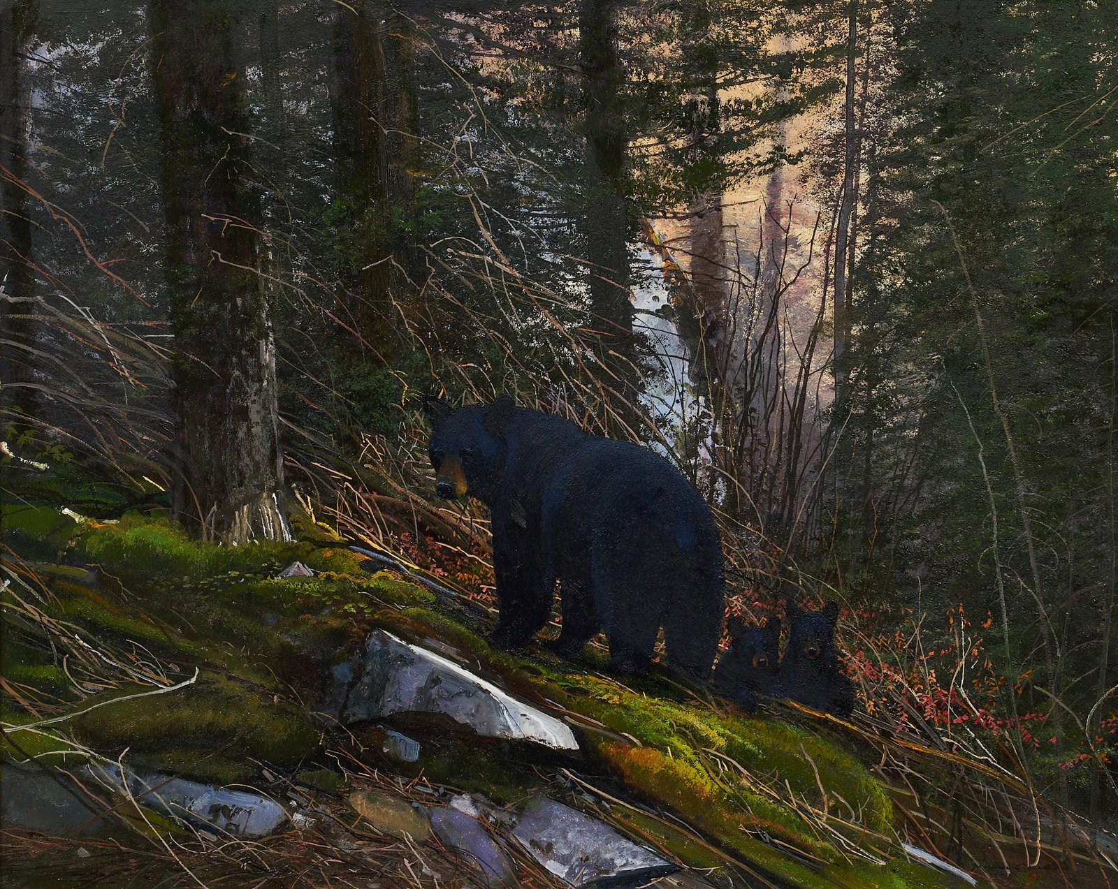 Michael Coleman, Bear and Cubs: Michael B. Coleman (Utah, b. 1946), mother bear with two cubs in the forest, oil on artist’s board, signed lower right sight: 24 x 30 in., frame: 35.5 x 41.5 in. Previously sold: National Cowboy