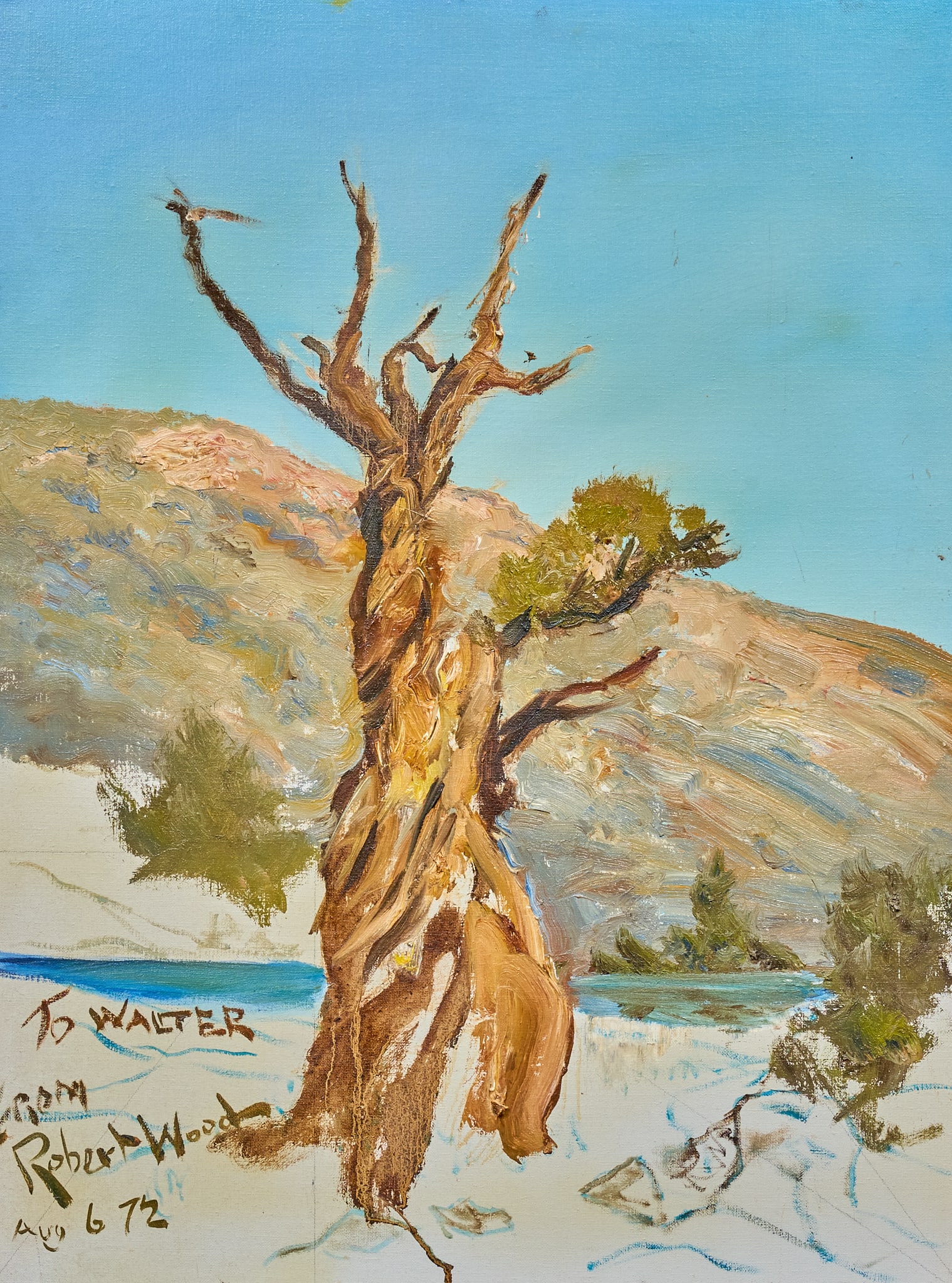 Robert Wood, “Bristlecone Pine (1 of 4)
