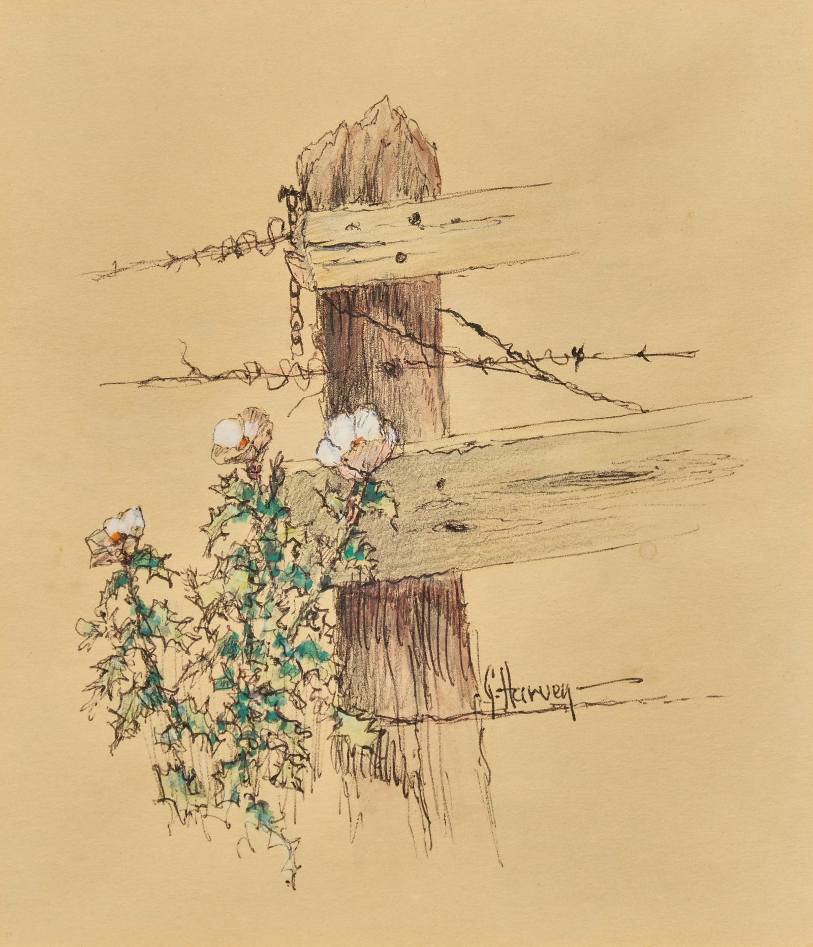 G. Harvey, Fencepost and Thistle: G. Harvey (Gerald Harvey Jones, Texas, 1933-2017), fencepost with barbed wire and thistle, watercolor and ink on paper, signed lower right, dated to 1970 by the artist's family sight: 6.5 x
