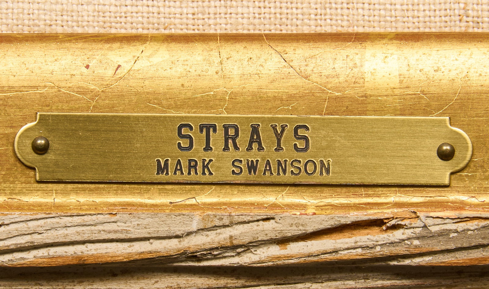 Mark Swanson, "Strays" - 4