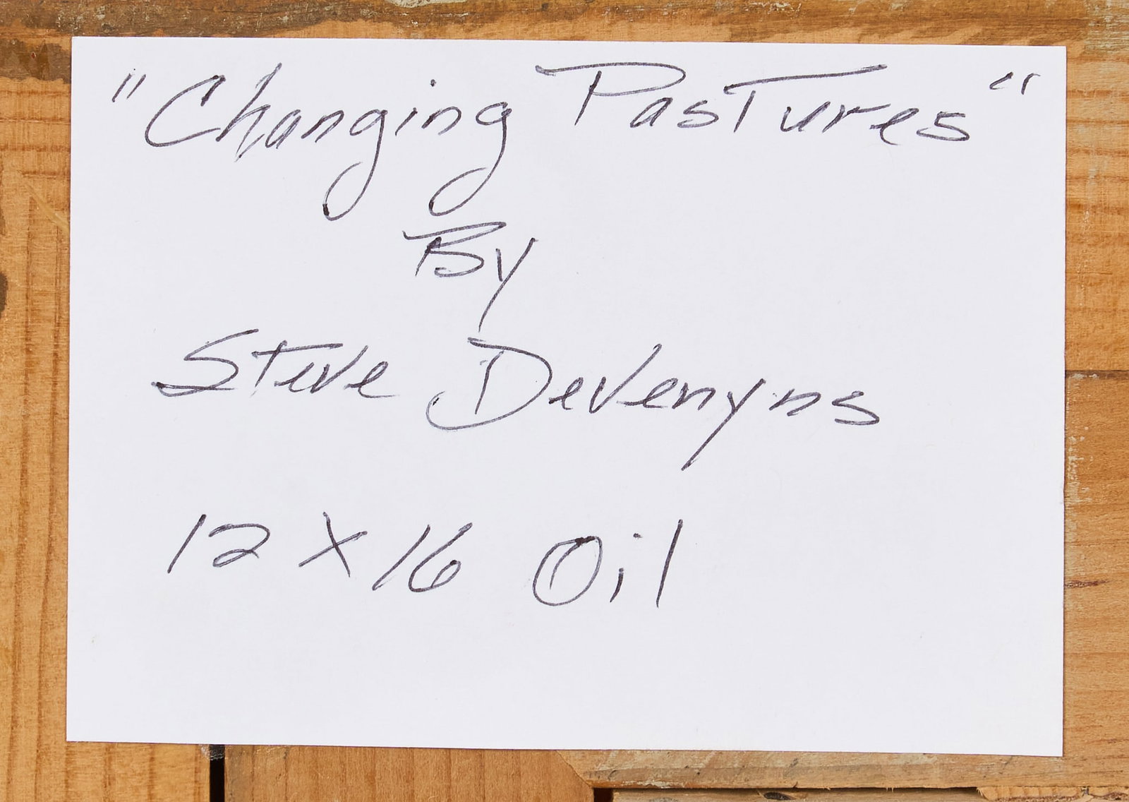 Steve Devenyns, "Changing Pastures" - 5