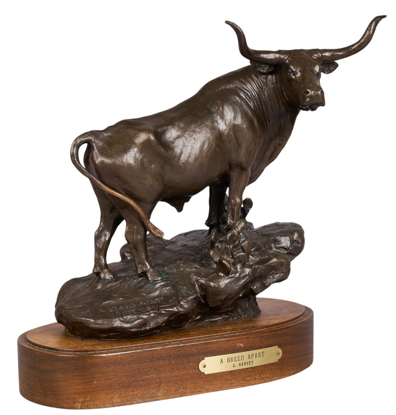G. Harvey, "A Breed Apart": G. Harvey (Gerald Harvey Jones, Texas, 1933-2017), "A Breed Apart", artist-cast bronze sculpture on wooden base, with incised signature, edition number 82/100, and date, 1981