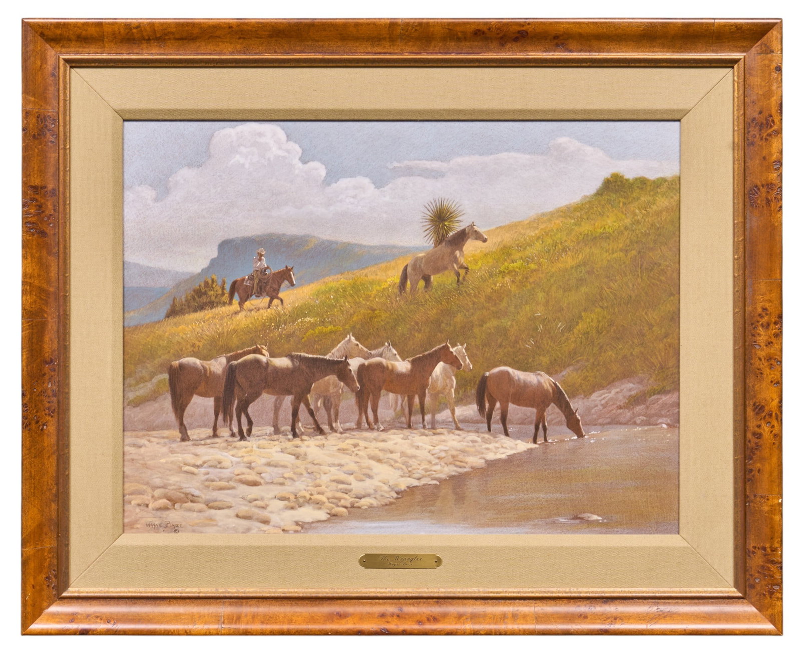 Wayne Baize, "The Wrangler" - 2