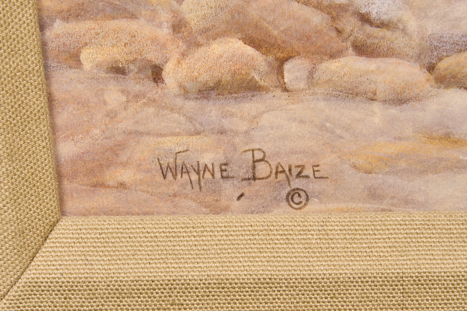 Wayne Baize, "The Wrangler" - 4