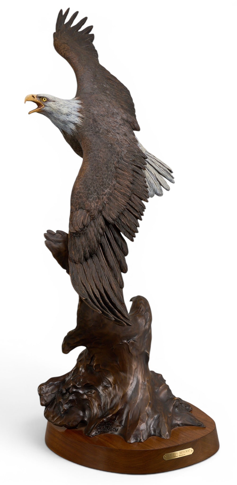 Glenn Swanson, "Eagle's Return" (1 of 6)