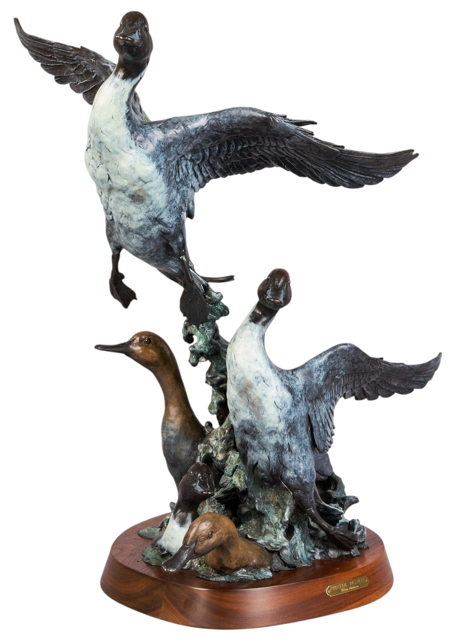 Glenn Swanson, "Pintail Passage": Glenn Swanson (Montana., b. 1950), "Pintail Passage", artist-cast bronze sculpture on wooden base, with incised signature and edition number 1/45 height 28.5 in. x width 15.5 in. x