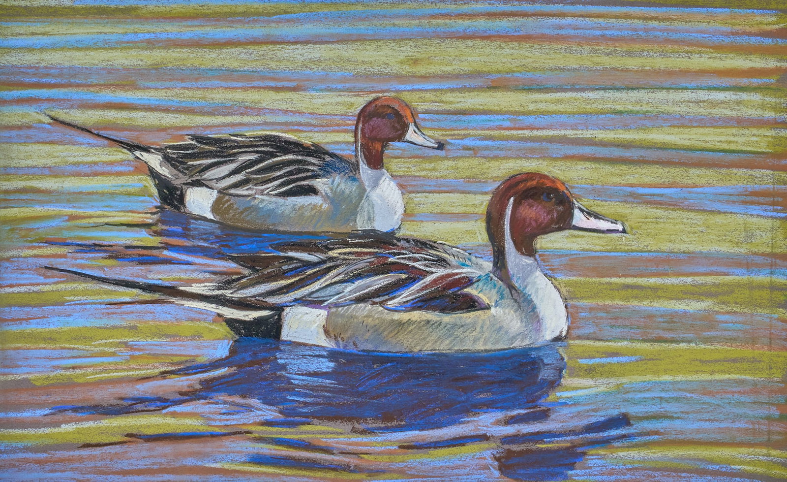 Al Barnes, Pintail Drakes (1 of 3)