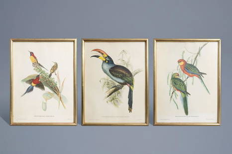 After John Gould FRS (1804-1881) and Elizabeth Gould: Title: After John Gould FRS (1804-1881) and Elizabeth Gould (1804-1841): Three ornithological lithographs in colours Description: Work: 39,5 x 29,5 cm (x3) Frame: 42,4 x 32,2 cm (x3) Printed by C. Hul