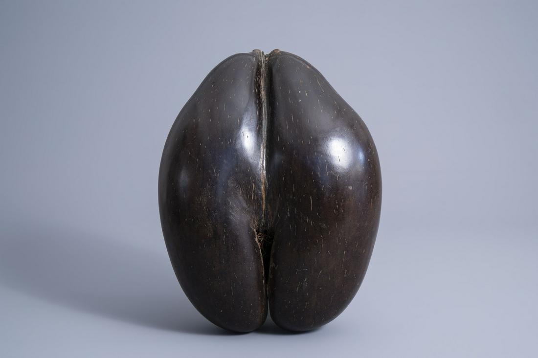 A sea coconut or coco de mer (lodicea maldivica), (1 of 7)