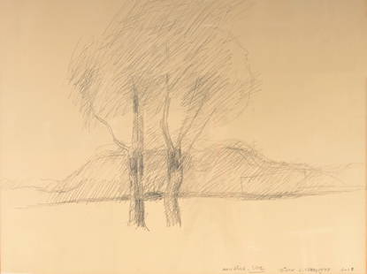 Luc Claus (1930-2006): Landscape, pencil on paper, dated 2002: Luc Claus (1930-2006): Landscape, pencil on paper, dated 2002 Work: 51,5 x 39,5 cm Frame: 61 x 49 cm With a dedication to Dirk.