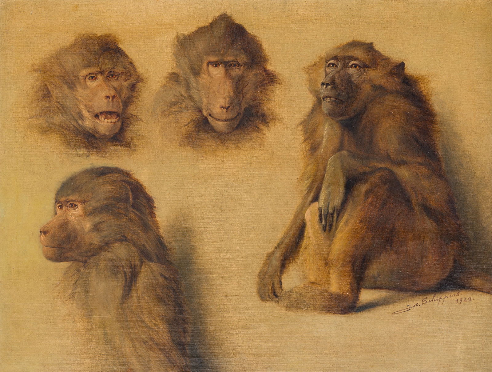 Joseph Schippers (1868-1950): Monkeys, oil on canvas, dated 1920 (1 of 10)