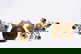item-209086397=5