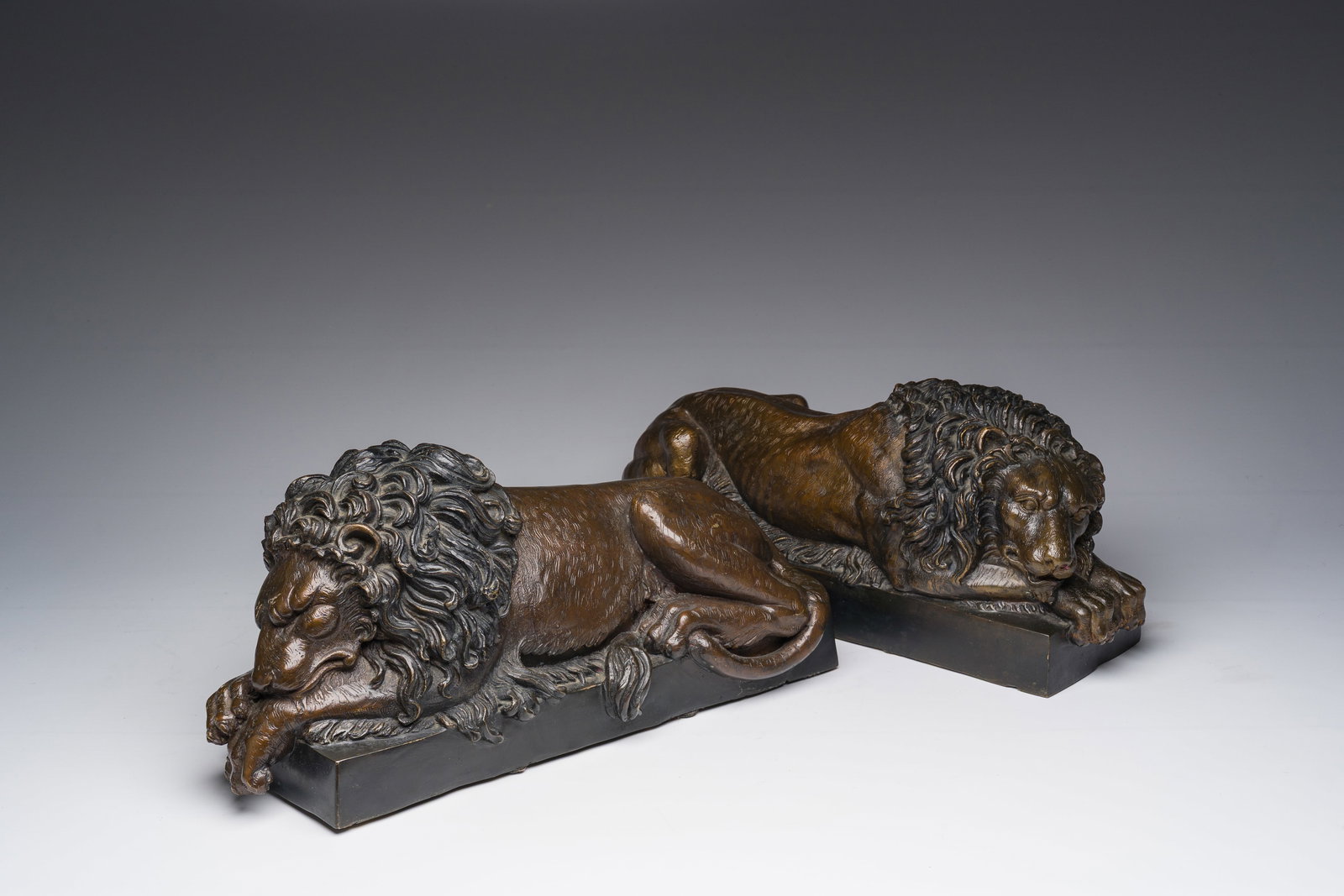 Antonio Canova (1757-1822, after): A pair of reclining lions, brown patinated bronze, 20th C. (1 of 8)