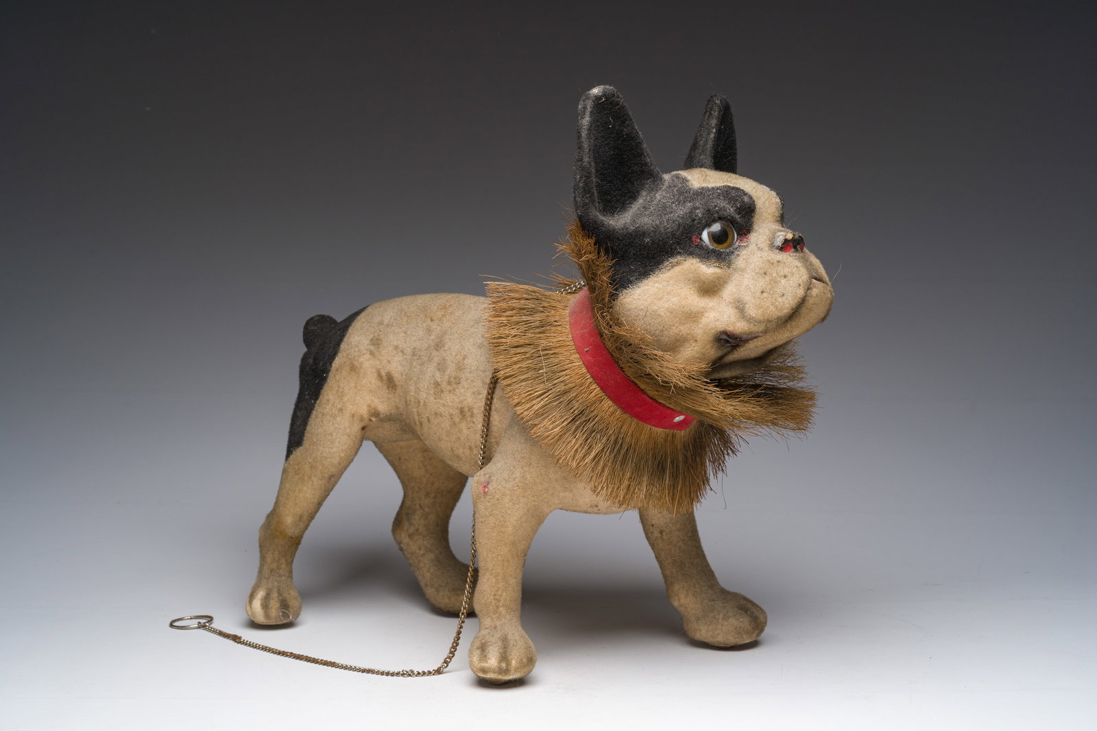 A French pull-along 'Growler' bulldog with a moving head in flocked papier-mâche with a coconut: A French pull-along 'Growler' bulldog with a moving head in flocked papier-mâche with a coconut collar, early 20th C. H 37 - L 44 cm
