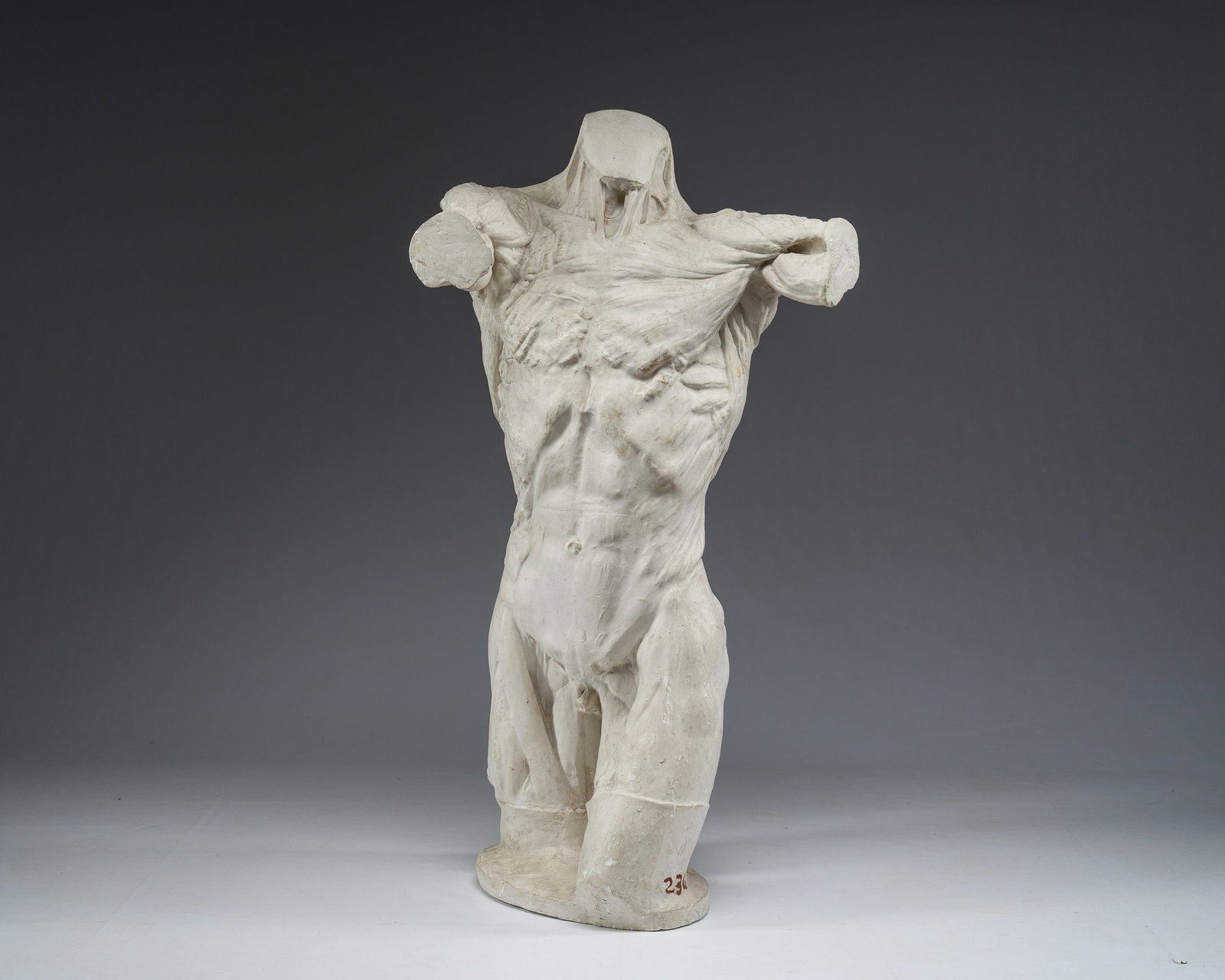 A tall plaster anatomical 'ecorche torso, 19th/20th C. (1 of 8)